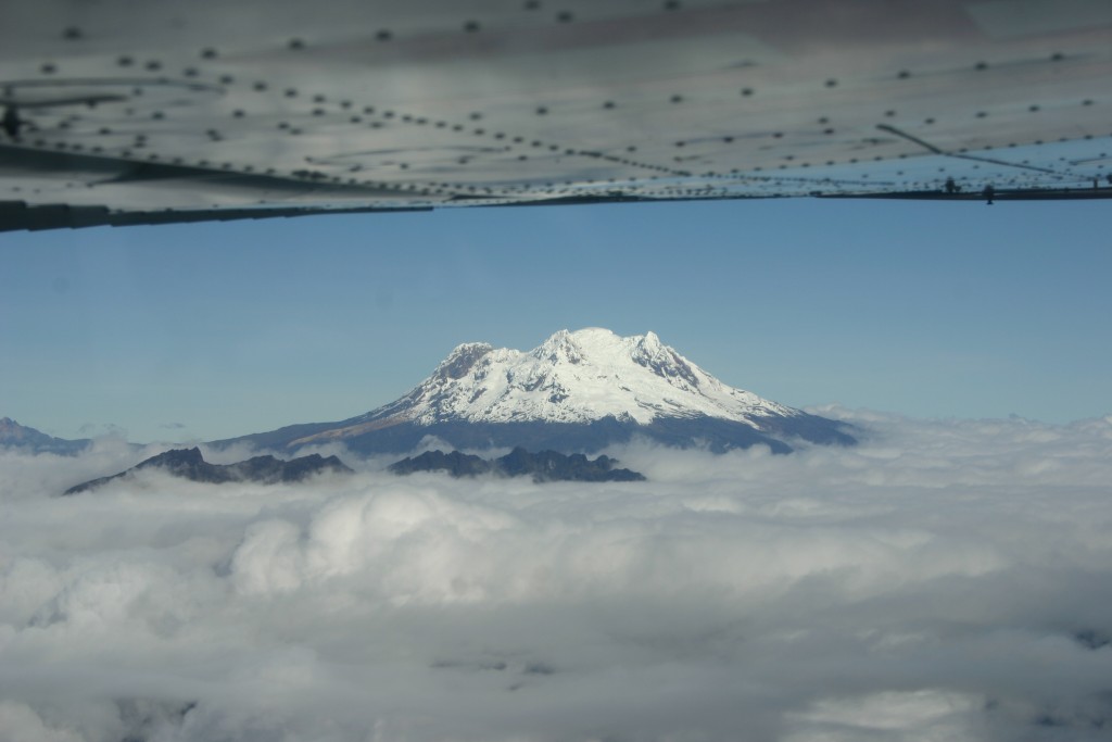 019129-Ecuador-DG-P