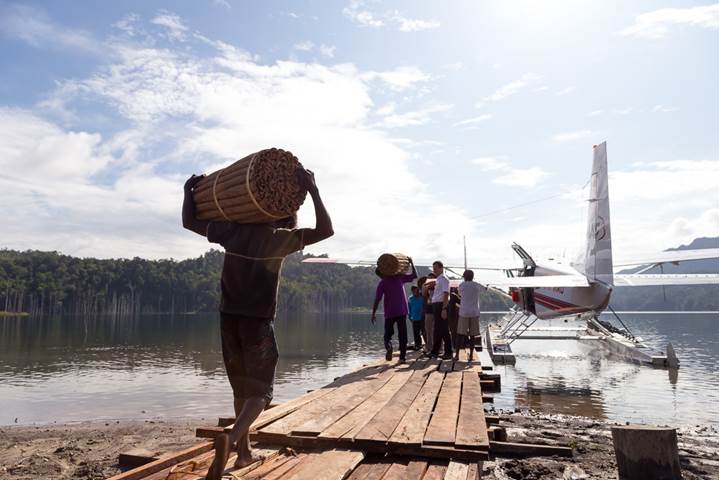 Villagers load bundles of Massoia bark to sell in Nabire. Photo by Mark and Kelly Hewes.