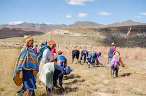 Working on the Lebakeng airstrip. Photo by Matt Monson.